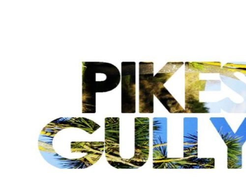 2021 Pikes Gully Extra Virgin Cold Pressed Olive Oil NOW AVAILABLE